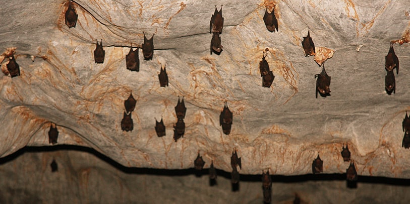 Cave