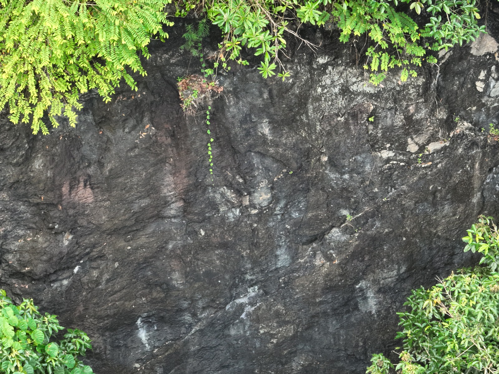 Schist Tuang Semeba