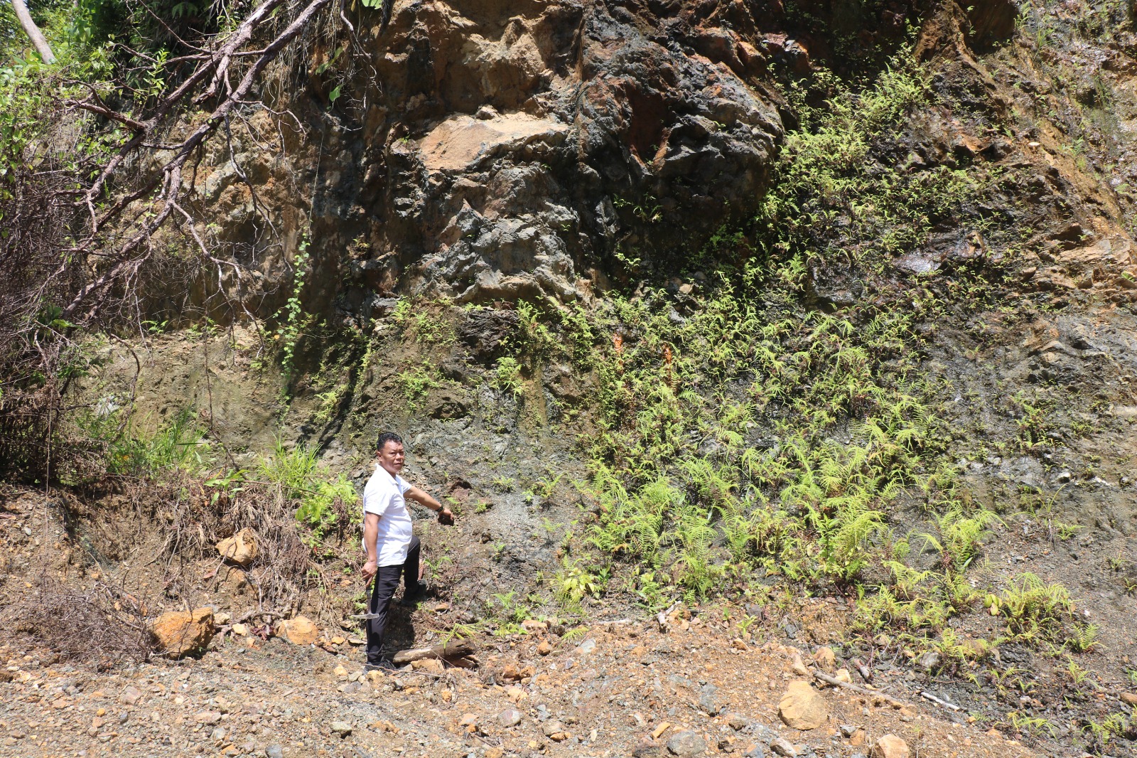 Mélange Bukit Andau