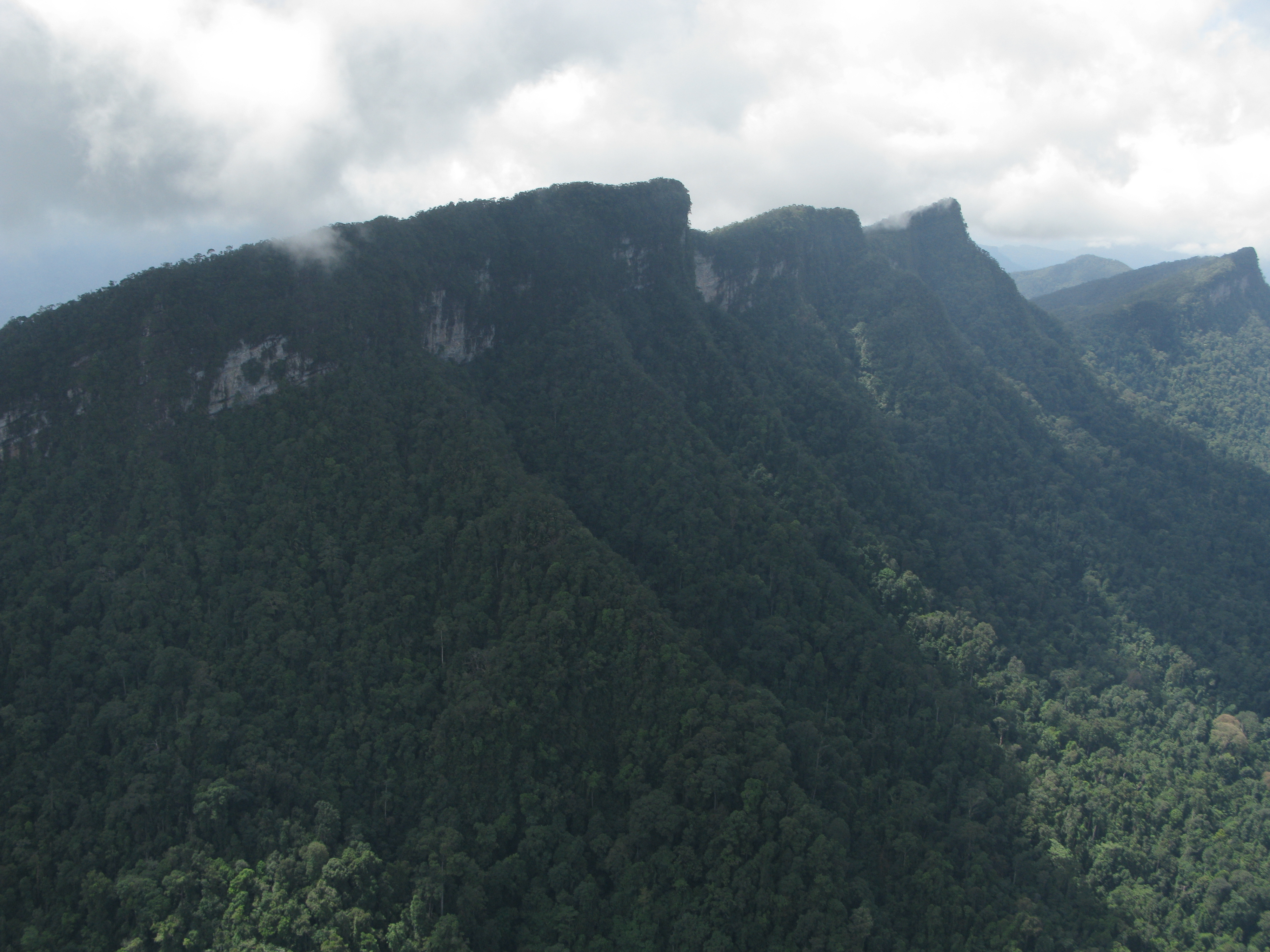 Bungo Range National Park